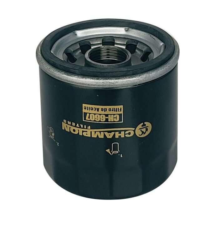CH-6607 Filtro de Aceite Ford, Haima, Hyundai, Kia, Mazda - Imagen 1