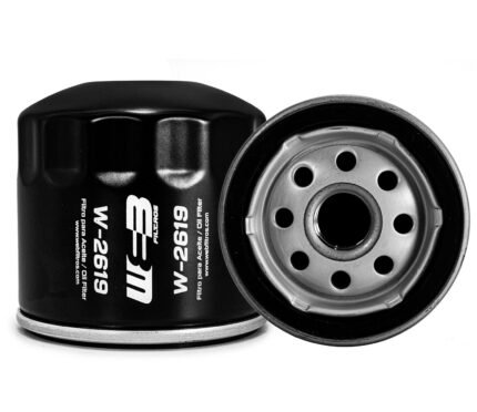 W-2619 Filtro de Aceite 951003, PL-003, B43-S, PH-2619