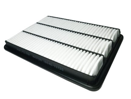 Filtro Aire Dongfeng ZNA Rich 16546-Y3700