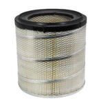 Filtro Aire PA1637-FN, P181000, CAK-259, Internati
