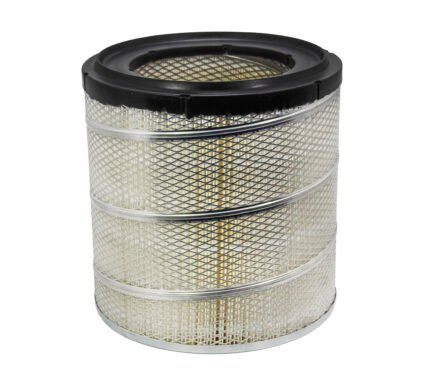 Filtro Aire PA1637-FN, P181000, CAK-259, Internati