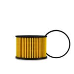 Filtro Aceite MS1-6744-AA Ford Territory 1,8L 19-