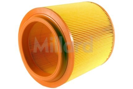 Filtro Aire Hyundai H100 Bachaco